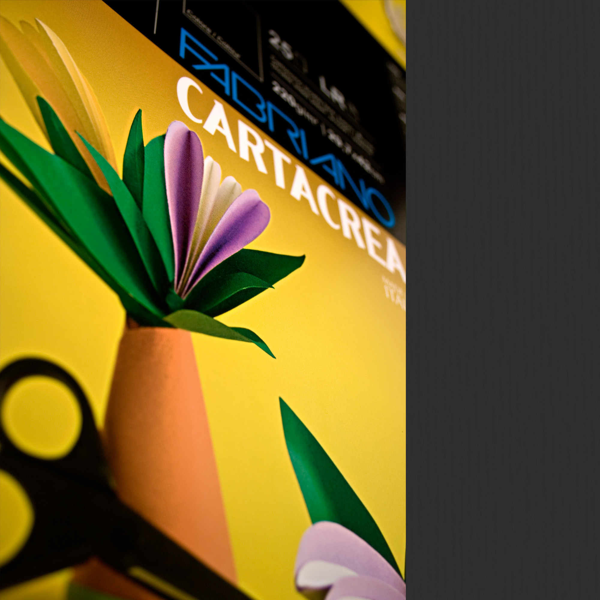Cartoncino CartaCrea - 35 x 50 cm - …