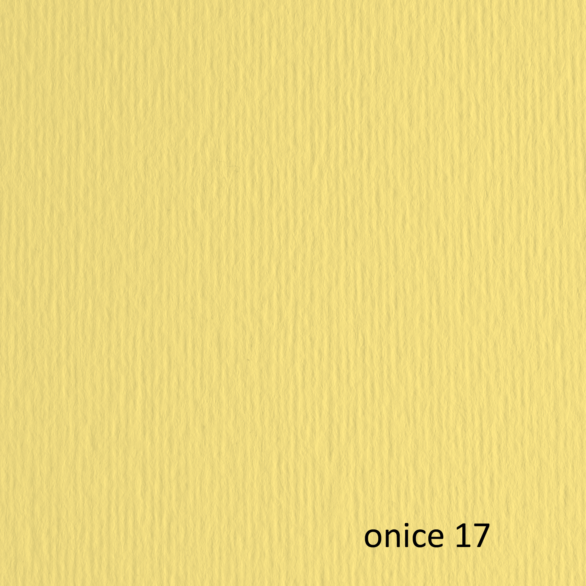 Cartoncino Elle Erre - 70 x 100 cm - 220 gr - onice 117 - Fabriano - blister 10 fogli