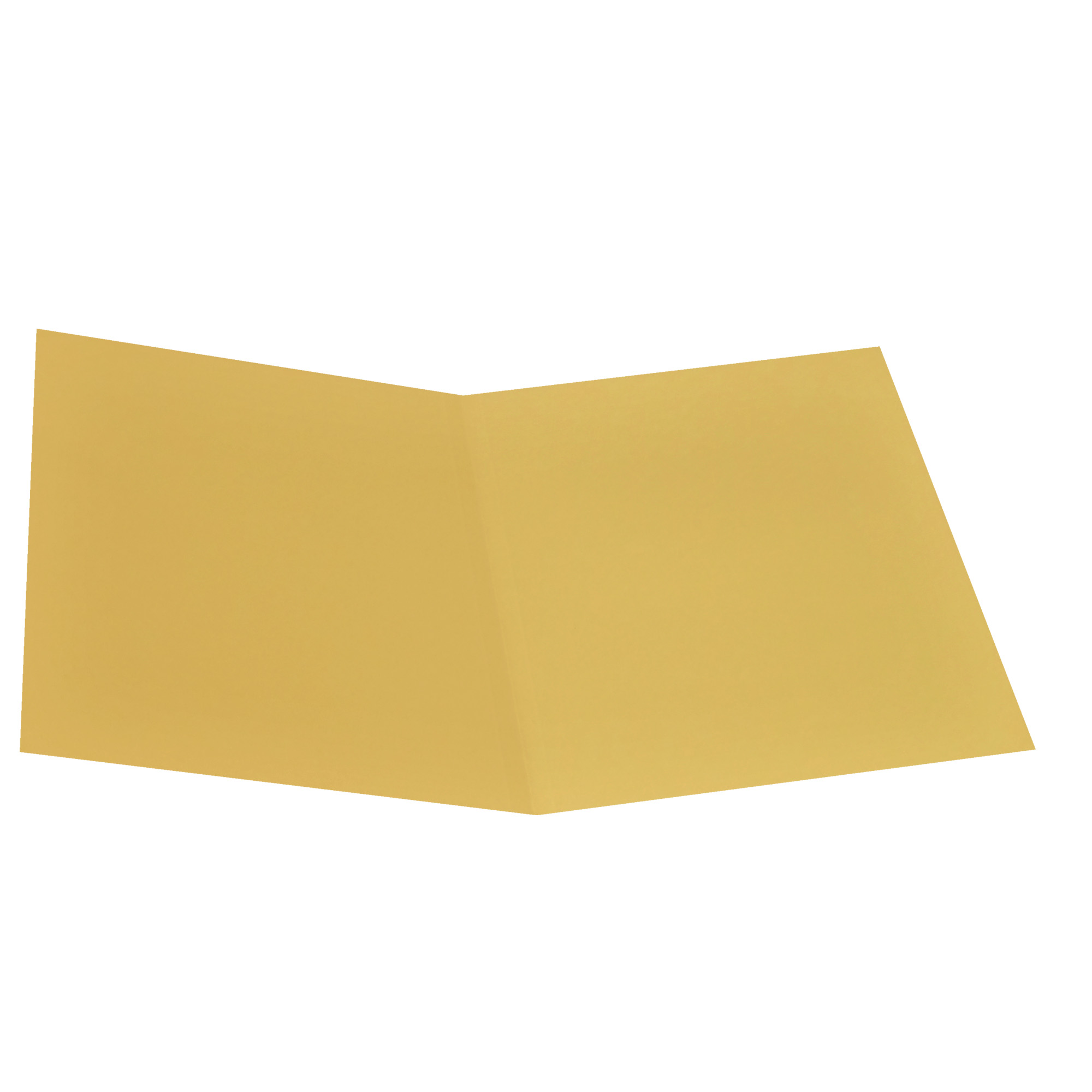 Cartellina semplice - 145 gr - 25 x …
