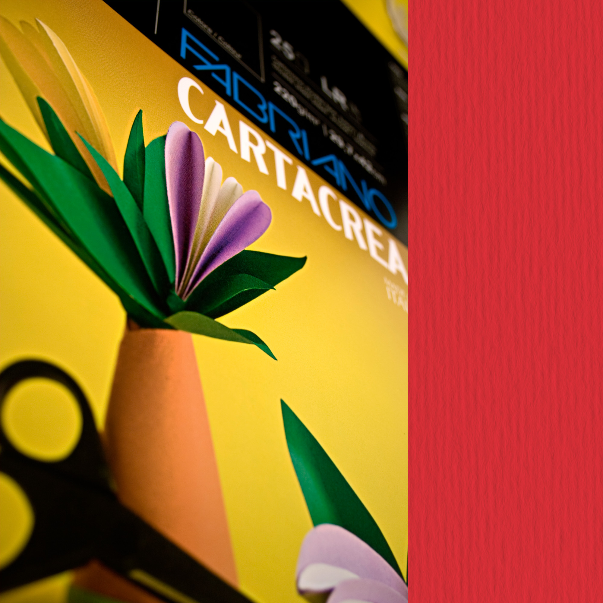 Cartoncino CartaCrea - 35 x 50 cm - …
