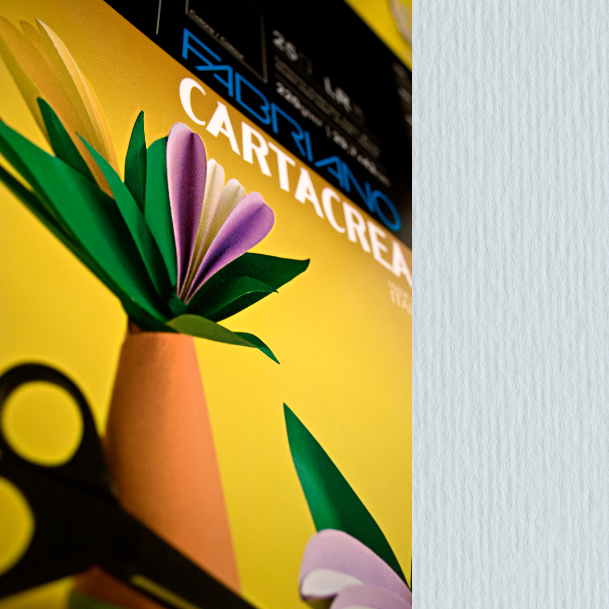 Cartoncino CartaCrea - 35 x 50 cm - …