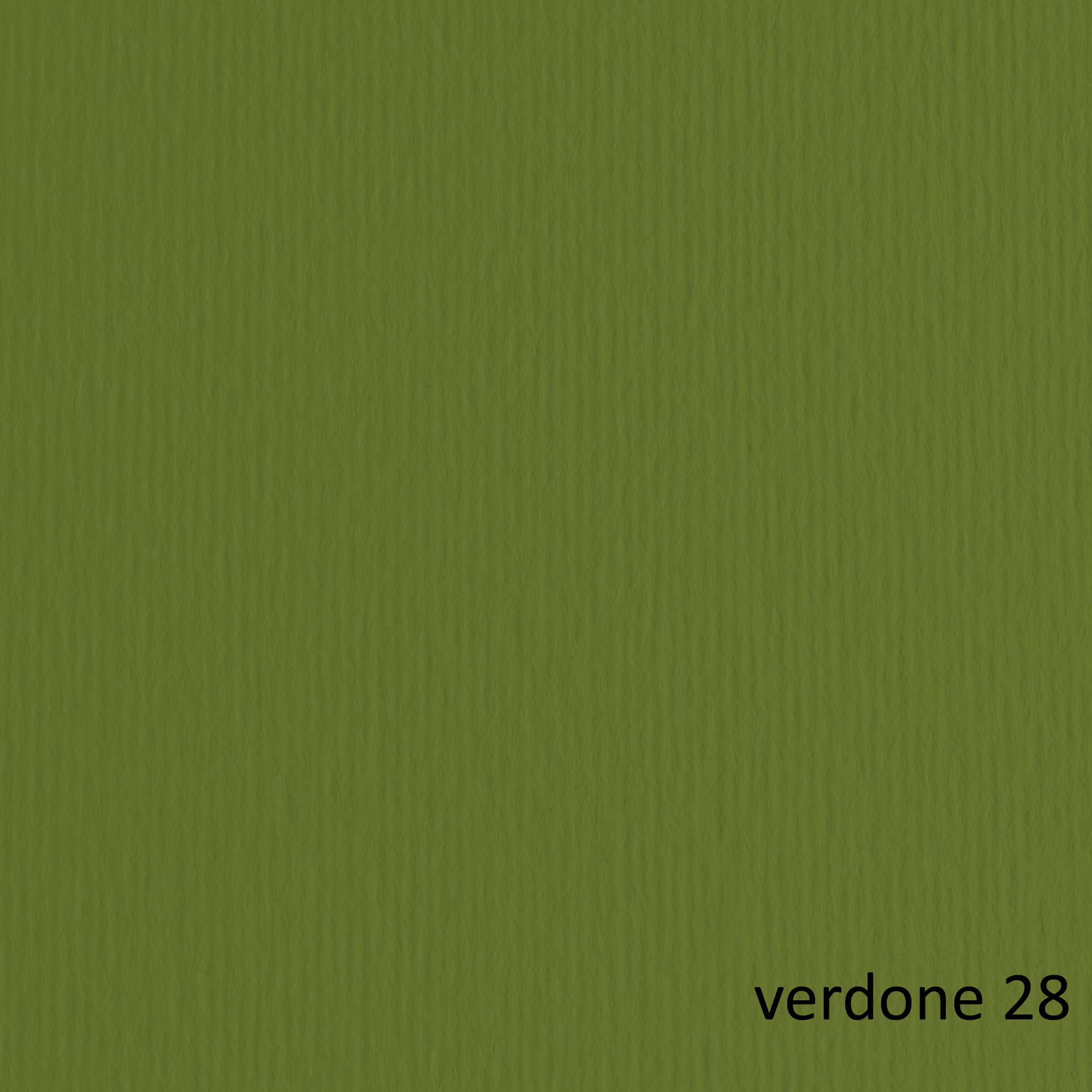 Cartoncino Elle Erre - 70 x 100 cm - 220 gr - verdone 128 - Fabriano - blister 10 fogli