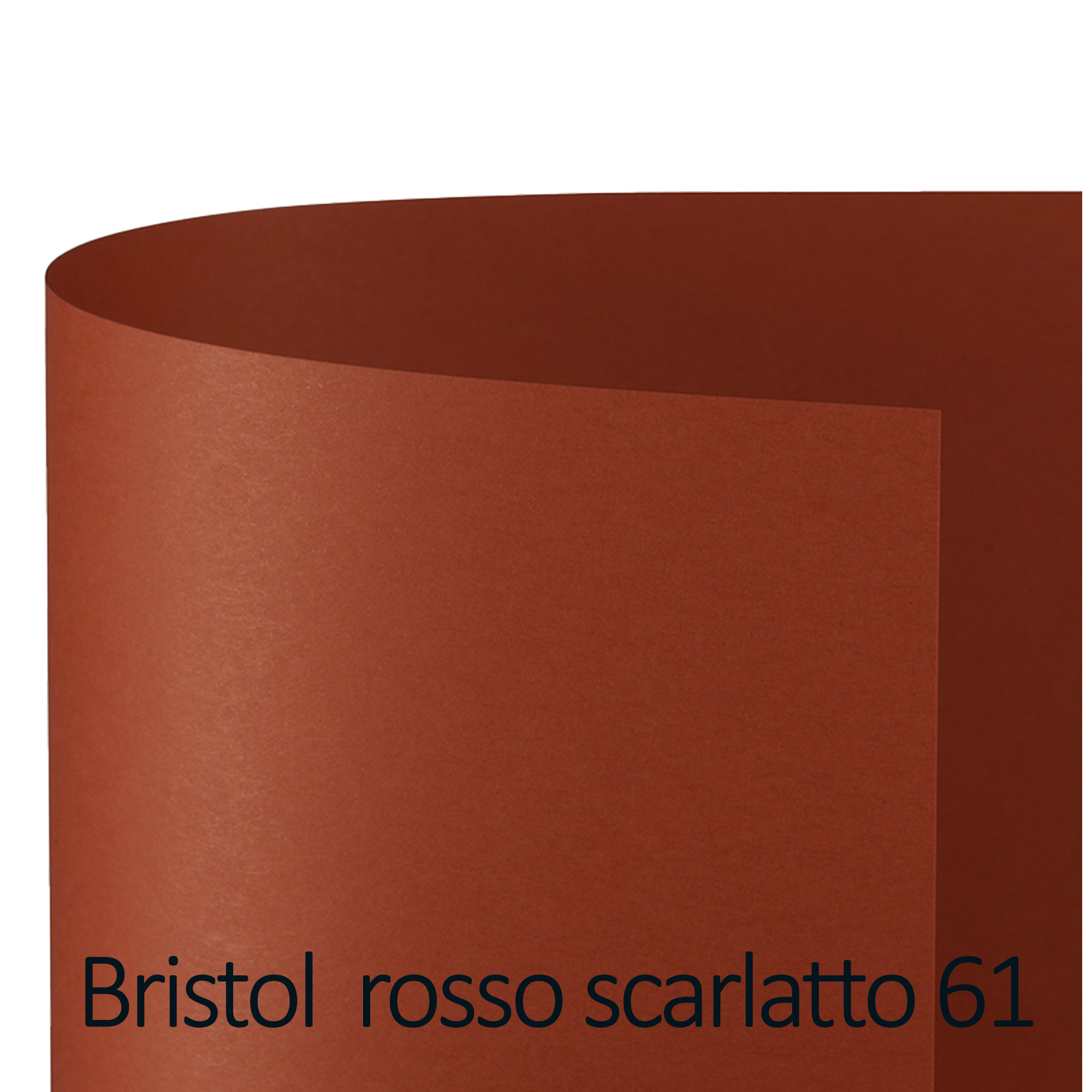 Cartoncino Bristol Color - 70 x 100 cm …