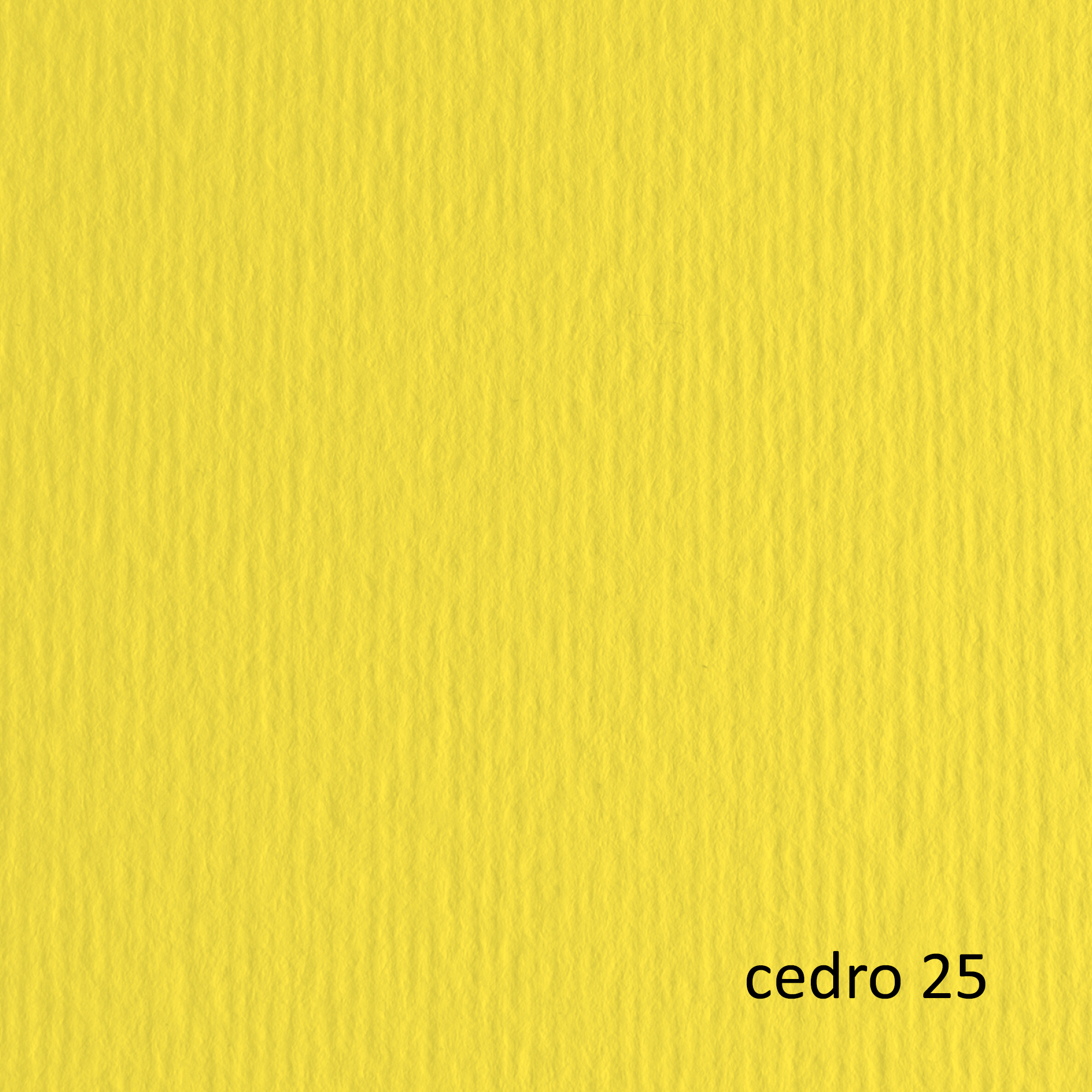 Cartoncino Elle Erre - 50 x 70 cm …