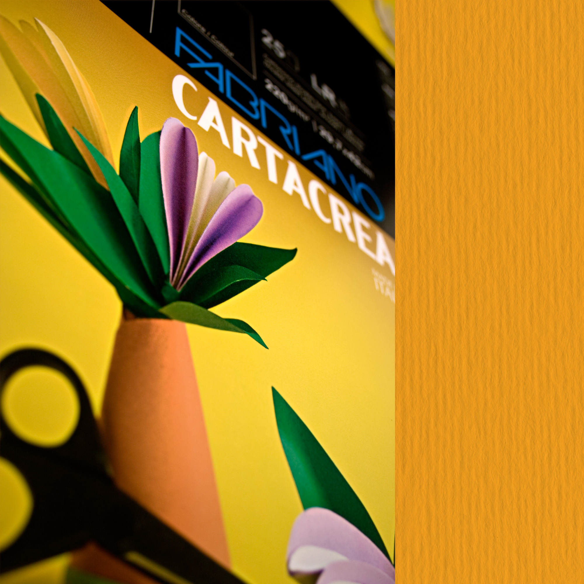 Cartoncino CartaCrea - 35 x 50 cm - …