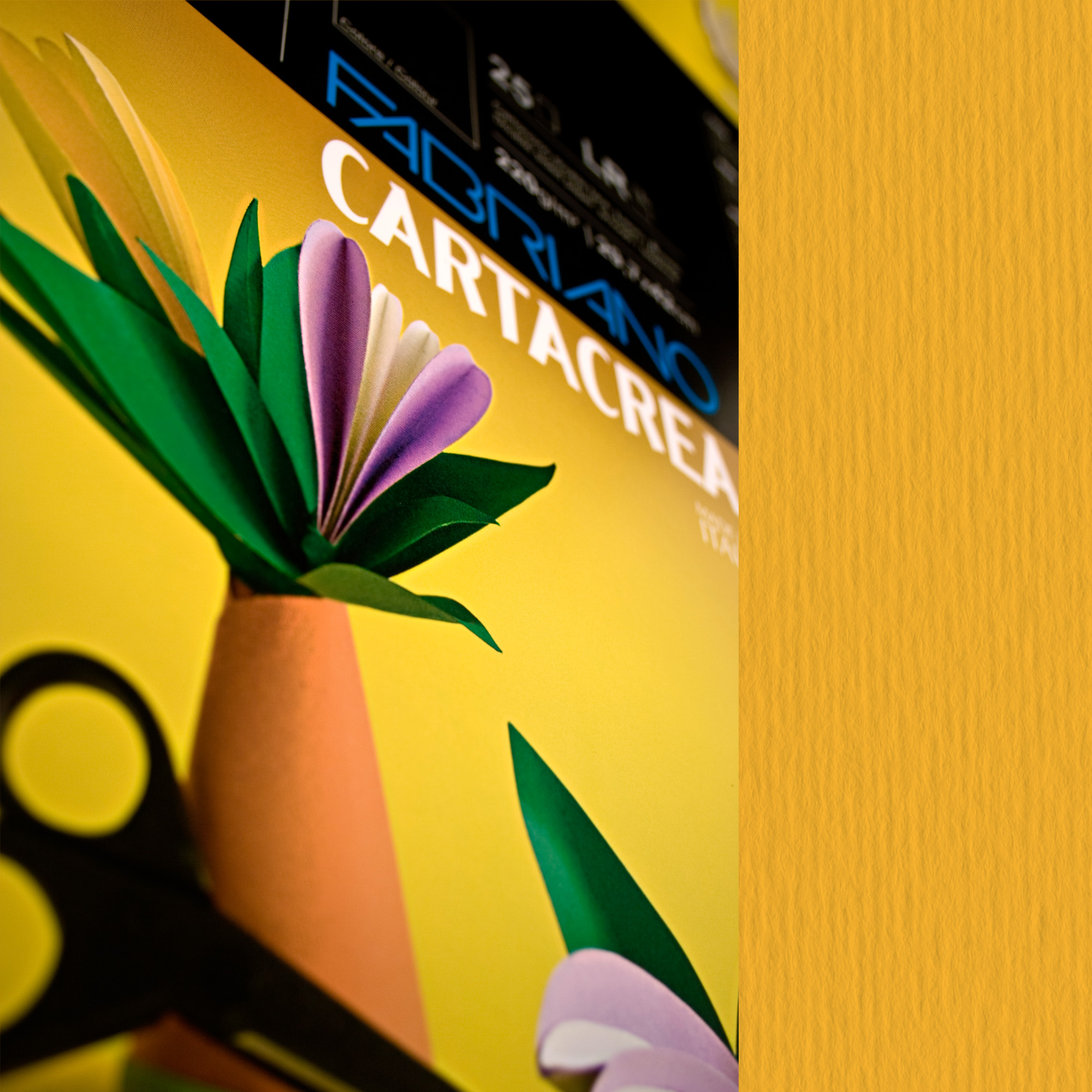 Cartoncino CartaCrea - 35 x 50 cm - …