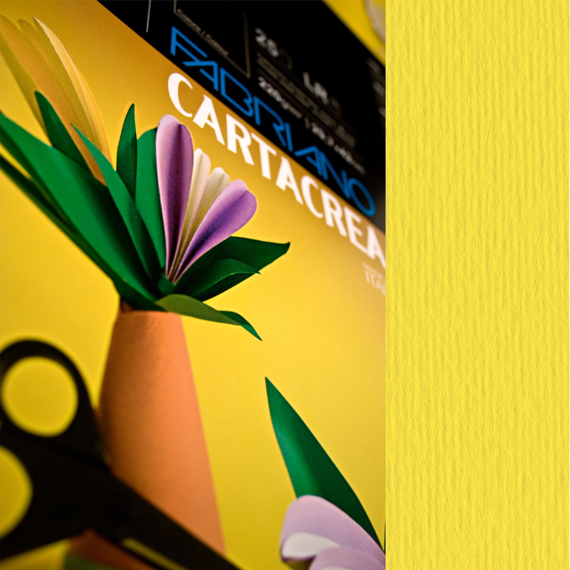 Cartoncino CartaCrea - 35 x 50 cm - …
