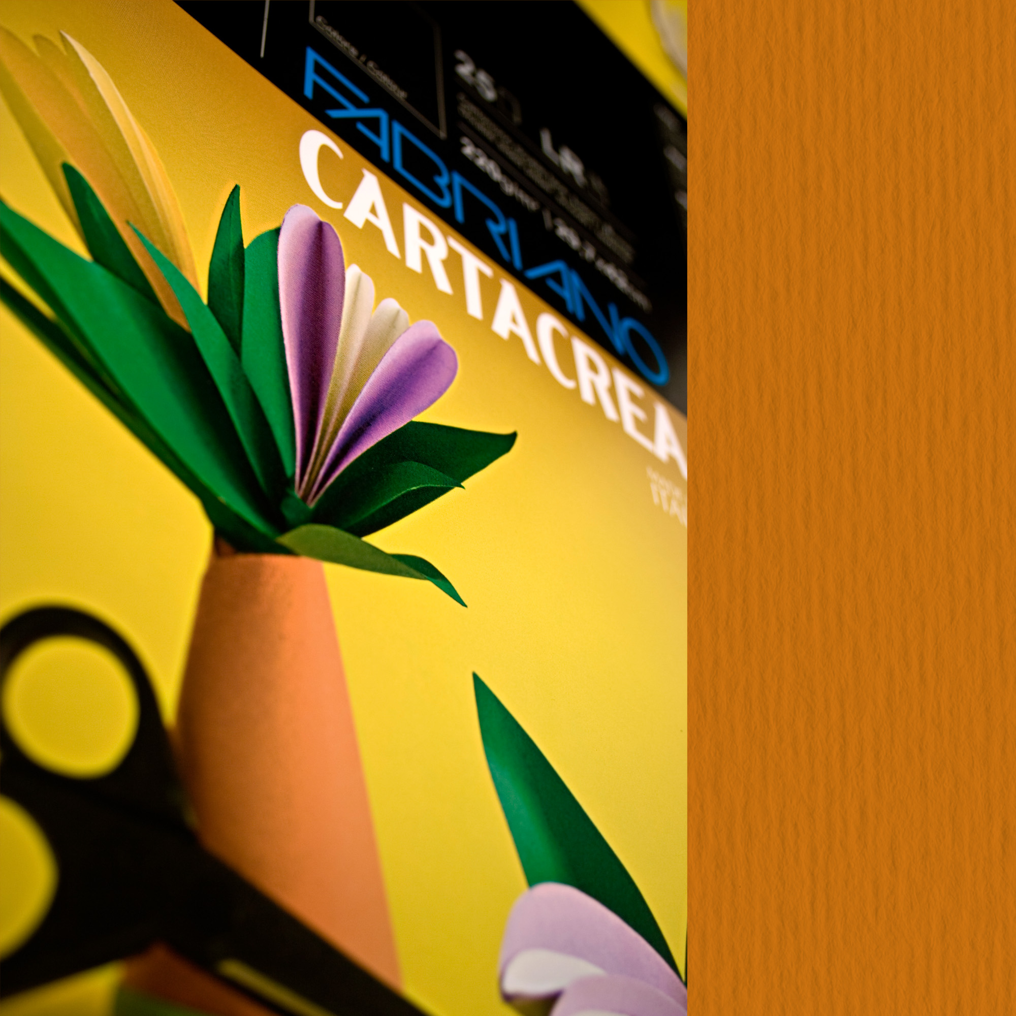 Cartoncino CartaCrea - 35 x 50 cm - …