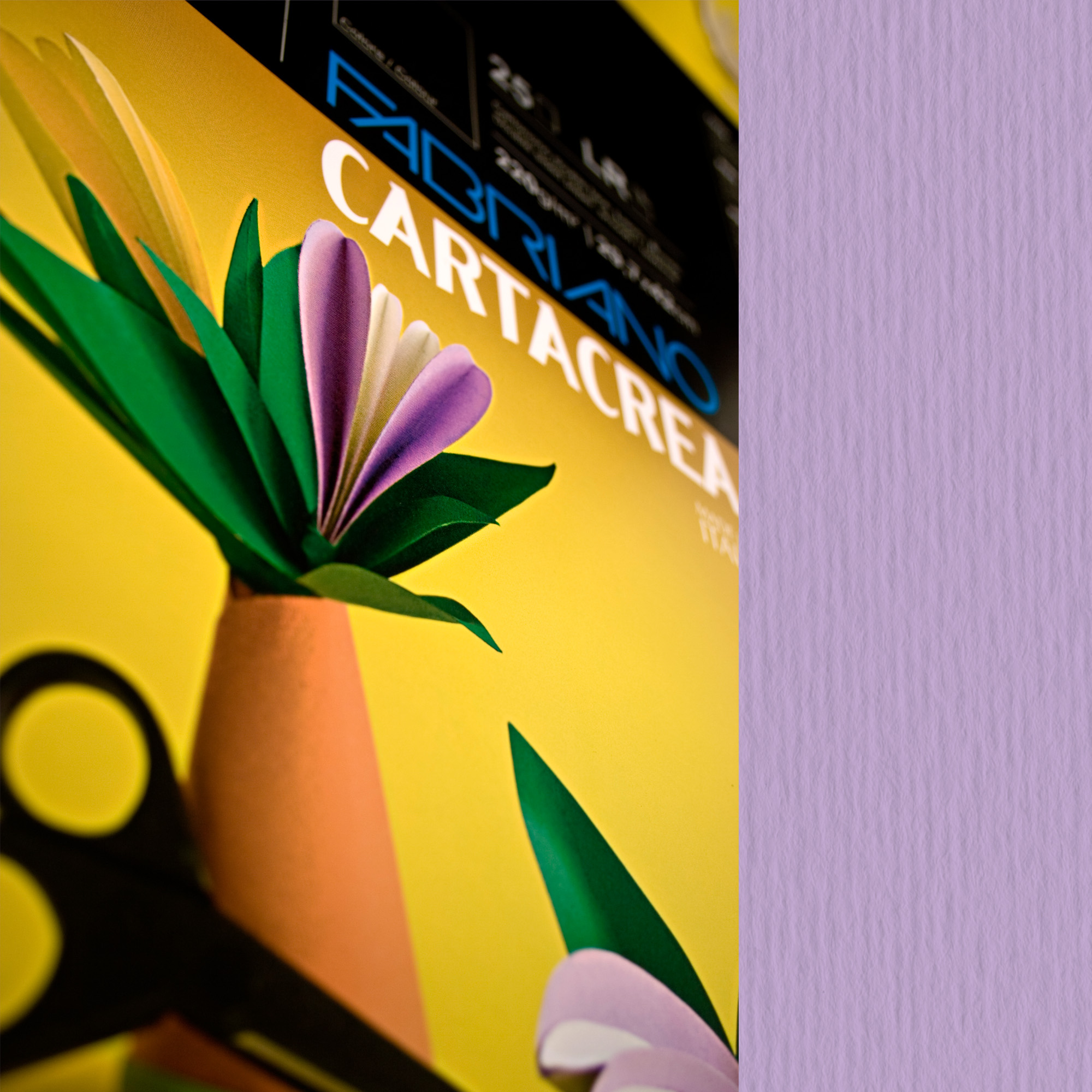 Cartoncino CartaCrea - 35 x 50 cm - …