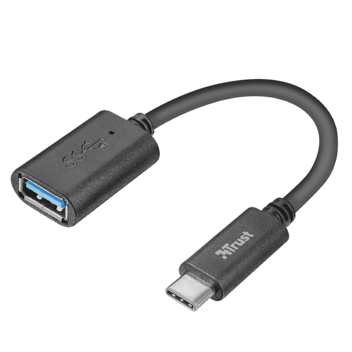 C2G Computer Power Cord Extension - Prolunga alimentazione - IEC 60320 C13 a IEC 60320 C14 - 250 V c.a. V - 5 m