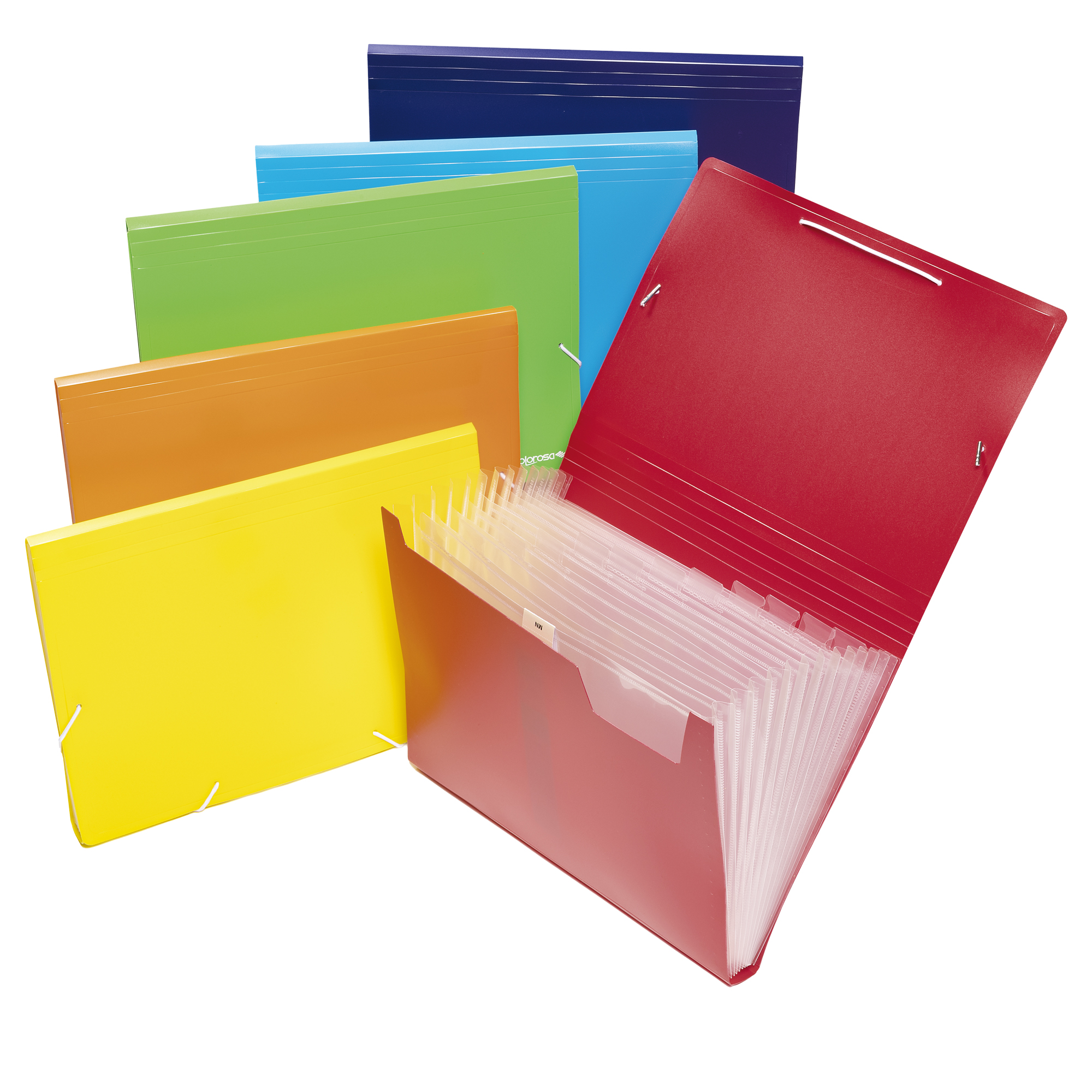 Portadocumenti a soffietto - 12 tasche - A4 …
