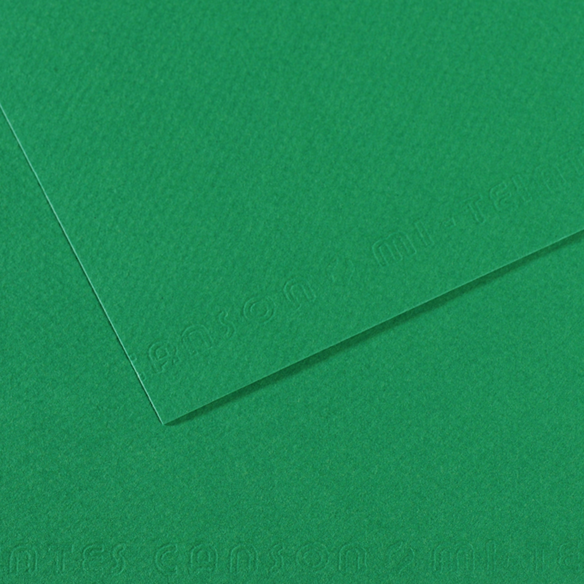 Foglio Mi-Teintes - A4 - 160 gr - verde biliardo - Canson