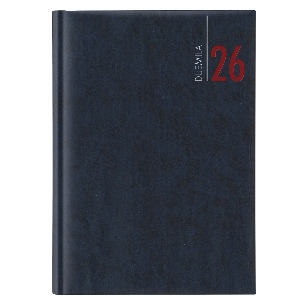 Agenda giornaliera 2024 - copertina in carta imbottita …