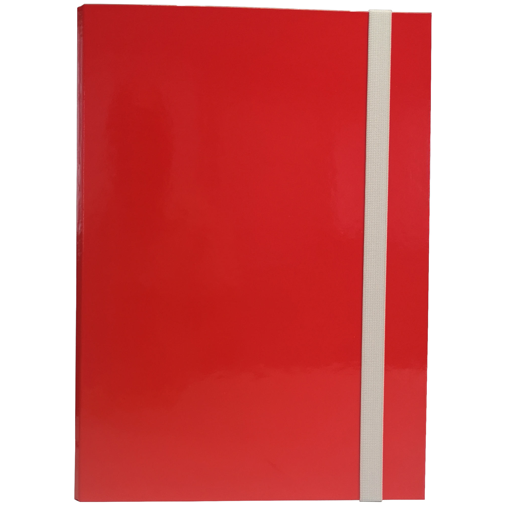 Cartella progetto - con elastico - dorso 3 …