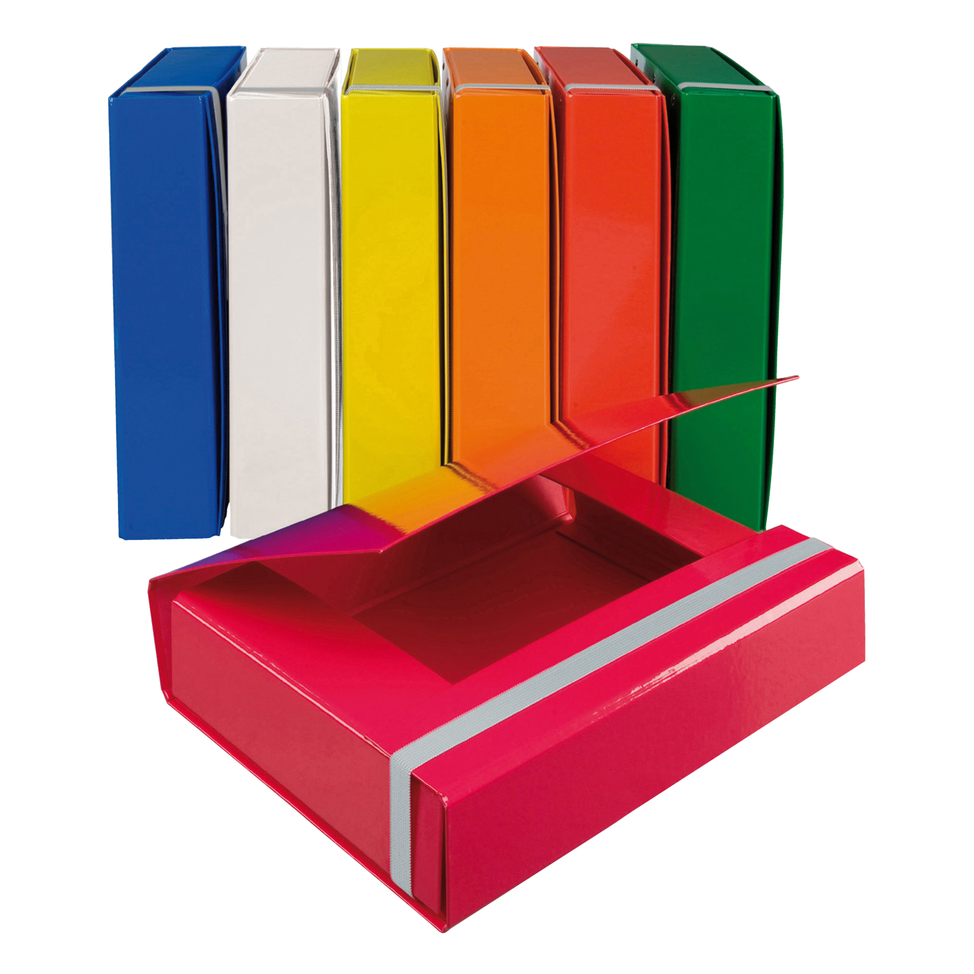 Cartella progetto - con elastico - dorso 5 …