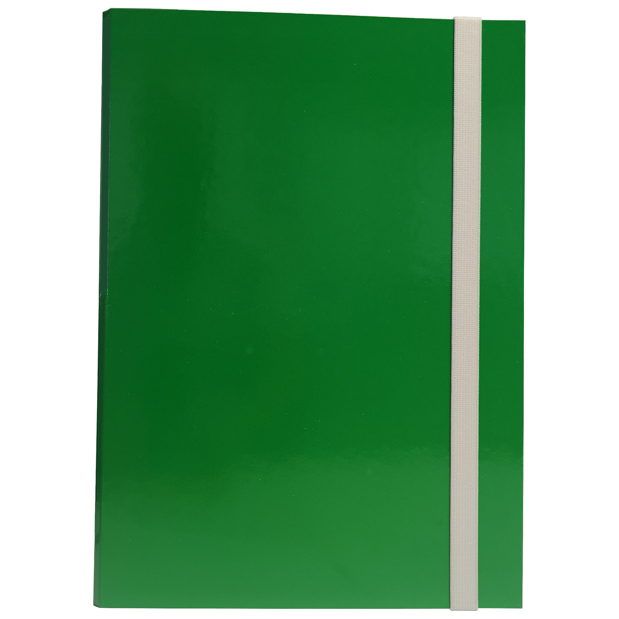 Cartella progetto - con elastico - dorso 3 …