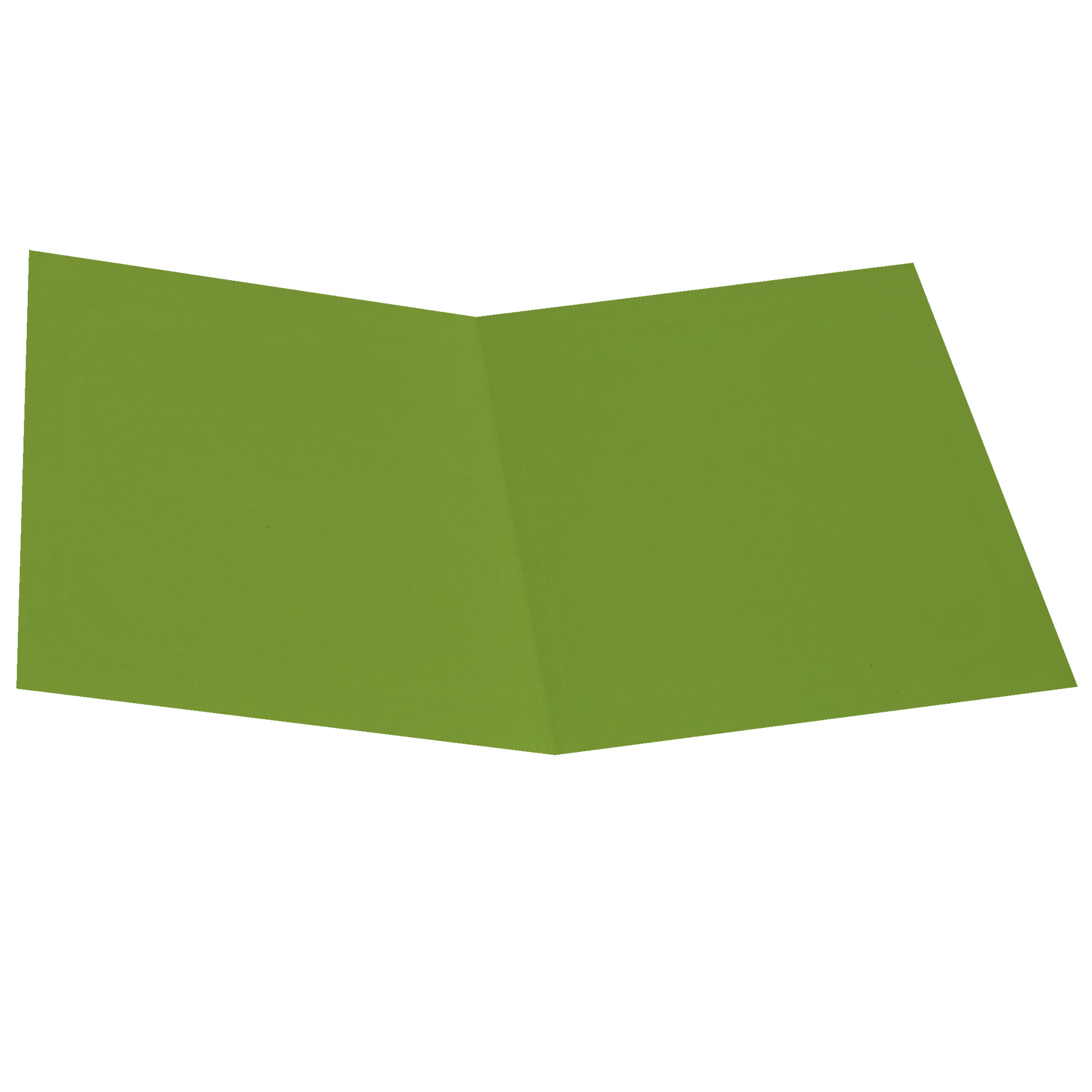 Cartellina semplice - 200 gr - A4 - …