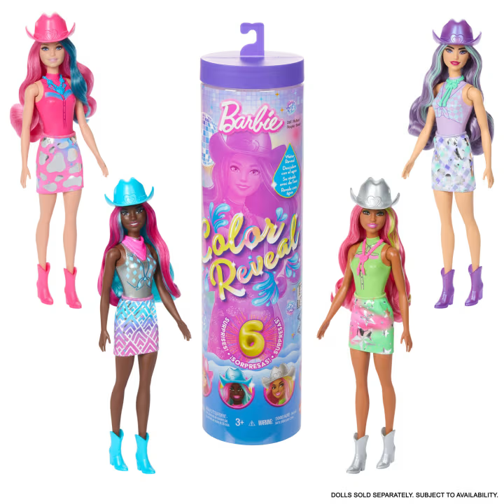 BARBIE Color Reveal COUNTRY CHIC ASST. JCP01