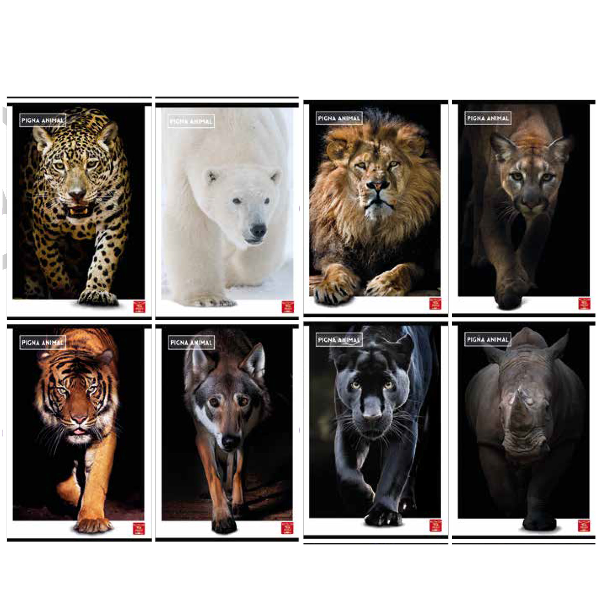 Maxiquaderno Animal - A4 - 4 mm c/margine …