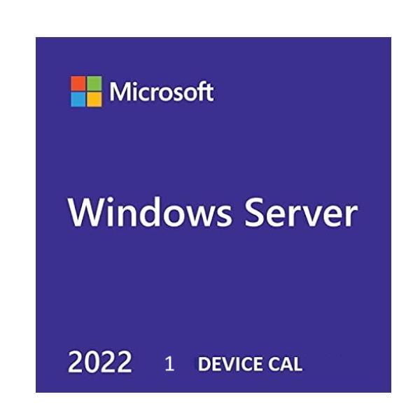 Microsoft Windows Server 2022 - Licenza - 1 licenza CAL terminale