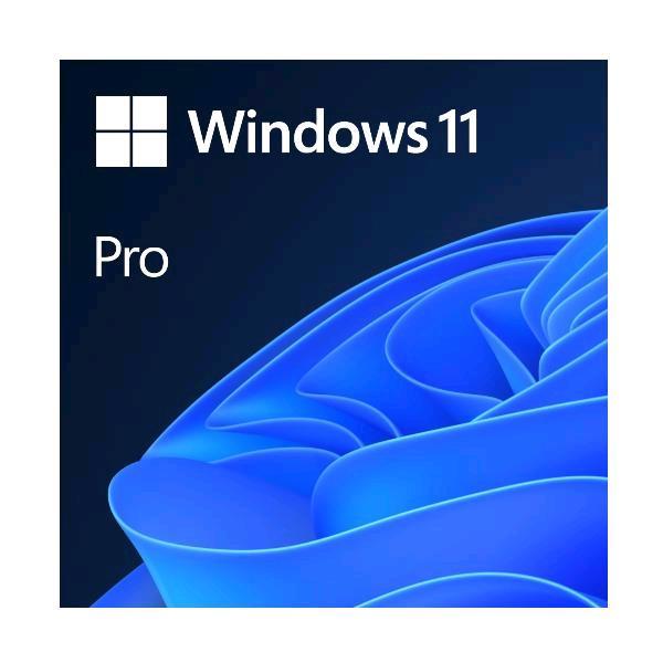 Windows 11 Pro - Licenza - 1 licenza - OEM - DVD - 64-bit - Italiano