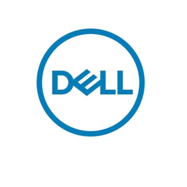 Dell - SSD - 240 GB - interno - M.2 - SATA 6Gb/s - per PowerEdge R450, R550, R650, R650xs, R750XA