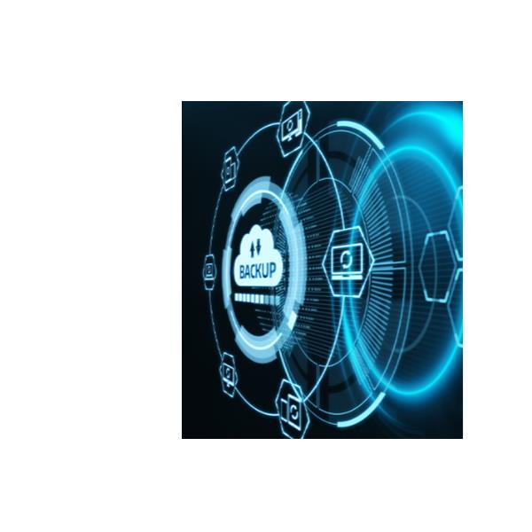 REEVO VEEAM CLDCNCT-BKP VM-LIC E PLTF-1VM