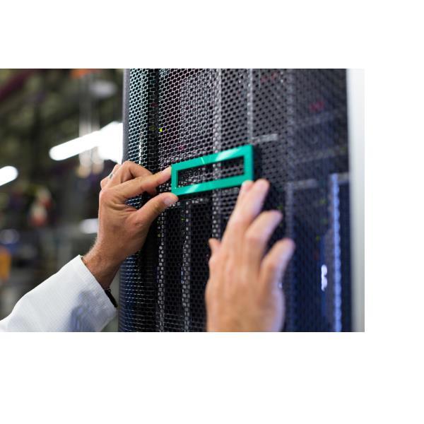HEWLETT PACKARD ENTERPRISE HPE DL3X5 G11 NS204I-U ENABLE KIT