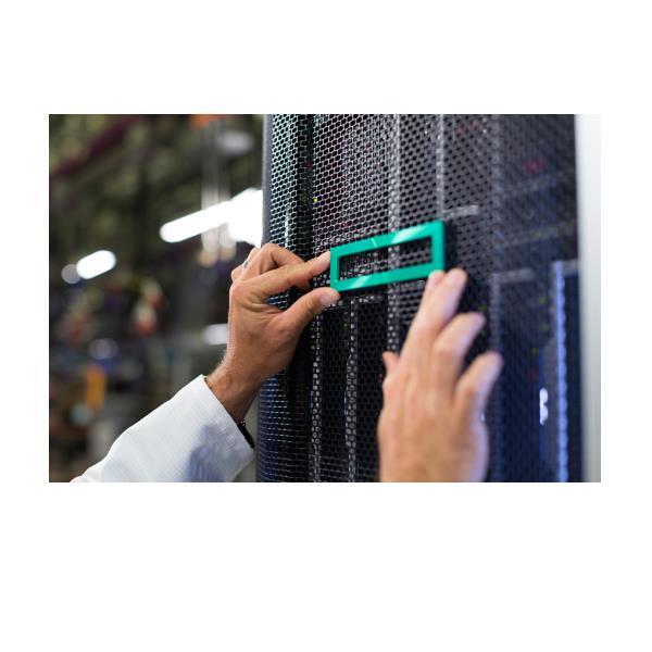 HEWLETT PACKARD ENTERPRISE HPE DL360 GEN11 CPU1_OCP2 X8 ENA