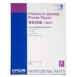 Epson Premium Glossy Photo Paper - Lucido - A2 (420 x 594 mm) 25 fogli carta fotografica - per SureColor P5000, SC-P7500, P900, P9500, T2100, T3100, T3400, T3405, T5100, T5400, T5405