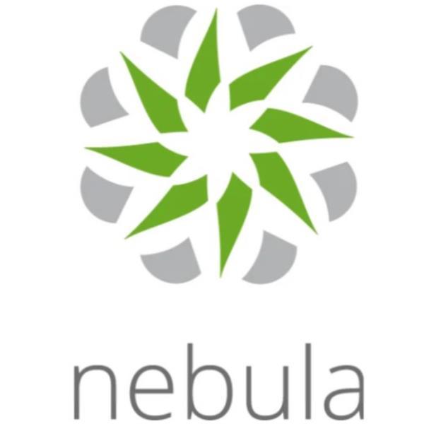 Zyxel Nebula Plus Pack - Licenza a termine …