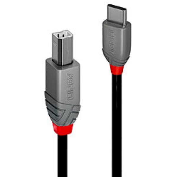 LINDY 0.5M CAVO USB 2.0 TIPO C B, ANTHRA