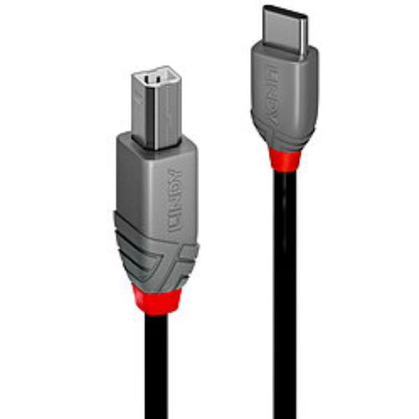 LINDY 1M CAVO USB 2.0 TIPO C A B, ANTHRA