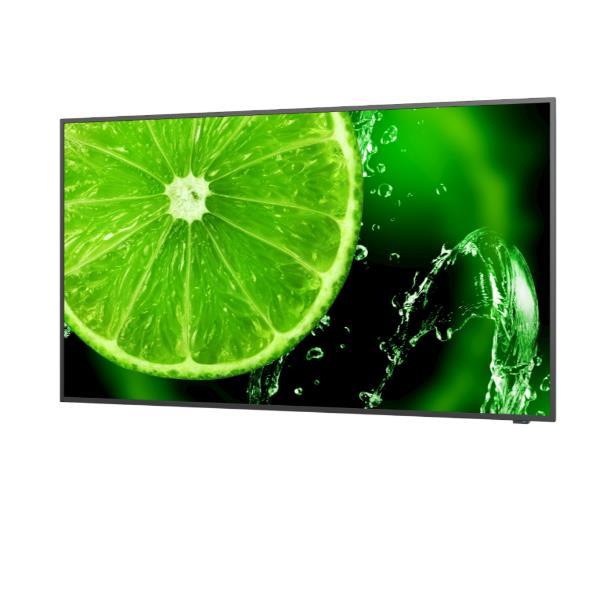 NEC MultiSync E498 - 49" Categoria diagonale (48.5" visualizzabile) - E Series Display LCD retroilluminato a LED - segnaletica digitale - 4K UHD (2160p) 3840 x 2160 - HDR - LED a illuminazione diretta