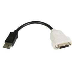 StarTech.com Adattatore DisplayPort DVI - Convertitore video da …