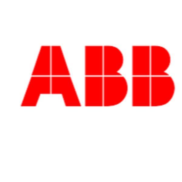 ABB SPA RCCMD LICENSE (COMMON OS)