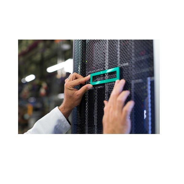 HEWLETT PACKARD ENTERPRISE HPE DL320 GEN11 NS204I-U NVMEKIT