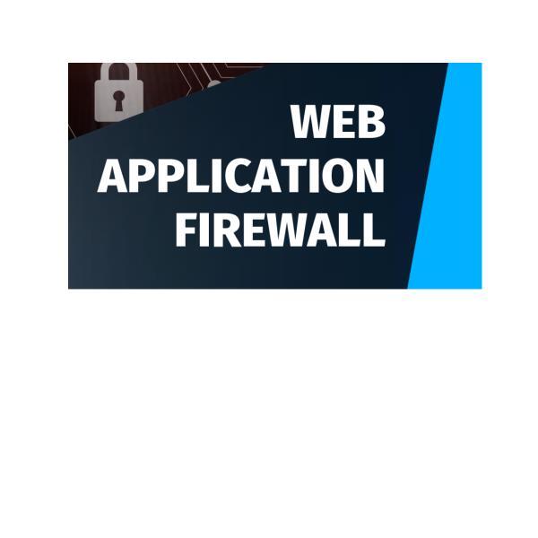 REEVO WEB APPLICATION FRW - 1GBS
