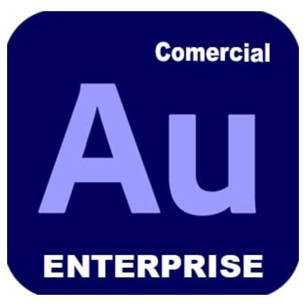 Adobe Audition for enterprise - Nuovo abbonamento (1 …