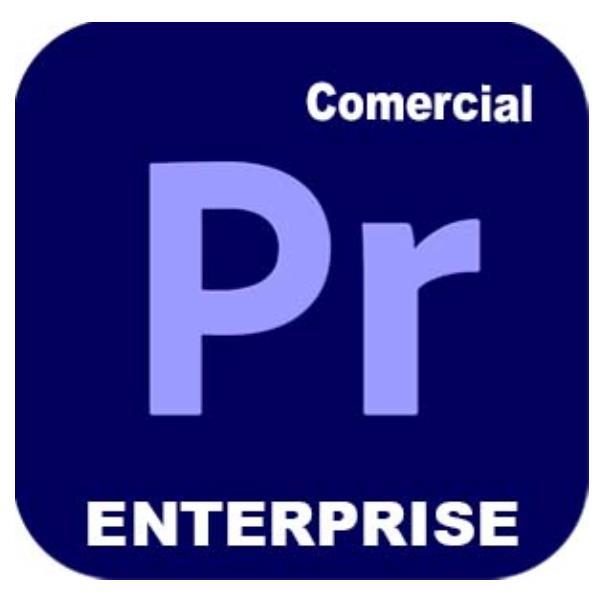 Adobe Premiere Pro for Enterprise - Nuovo abbonamento …