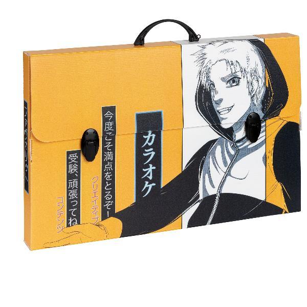 FAVORIT MANGA VALIGETTTA IN PP ALVEOLARE 56.5XX36.5X5.5 CM 2 CHIUSURE FANTASIE ASSORTITE