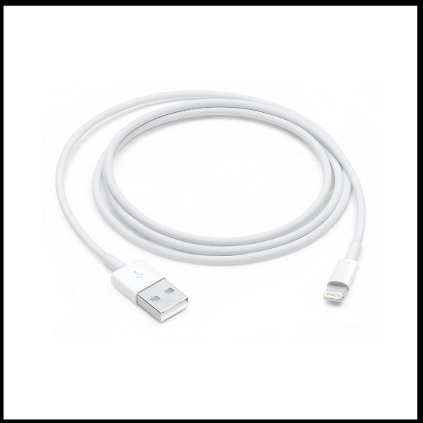 Apple - Cavo Lightning - Lightning maschio a USB maschio - 1 m