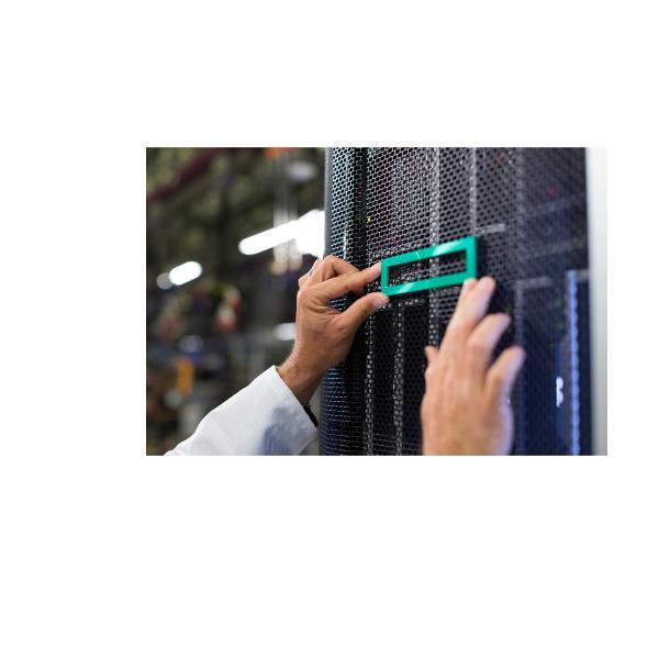 HEWLETT PACKARD ENTERPRISE HPE DL36X GEN10+ CPU1 GPU …