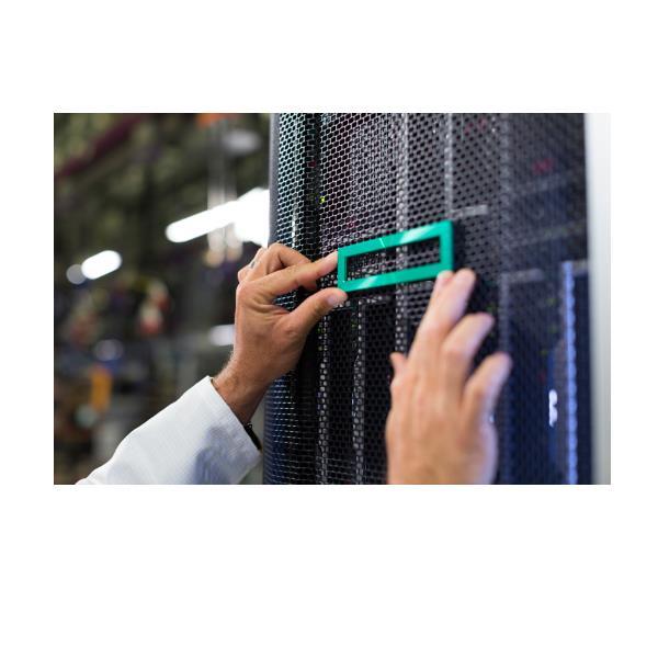 HEWLETT PACKARD ENTERPRISE HPE DL20 GEN11 2LFF/4SFF PCIE CBL