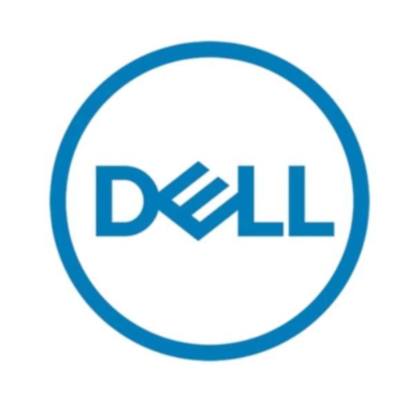 Dell - Kit Cliente - SSD - Mixed Use - crittografato - 1.6 TB - 2.5" (in supporto da 3,5") - SAS 22.5Gb/s - FIPS - Self-Encrypting Drive (SED)
