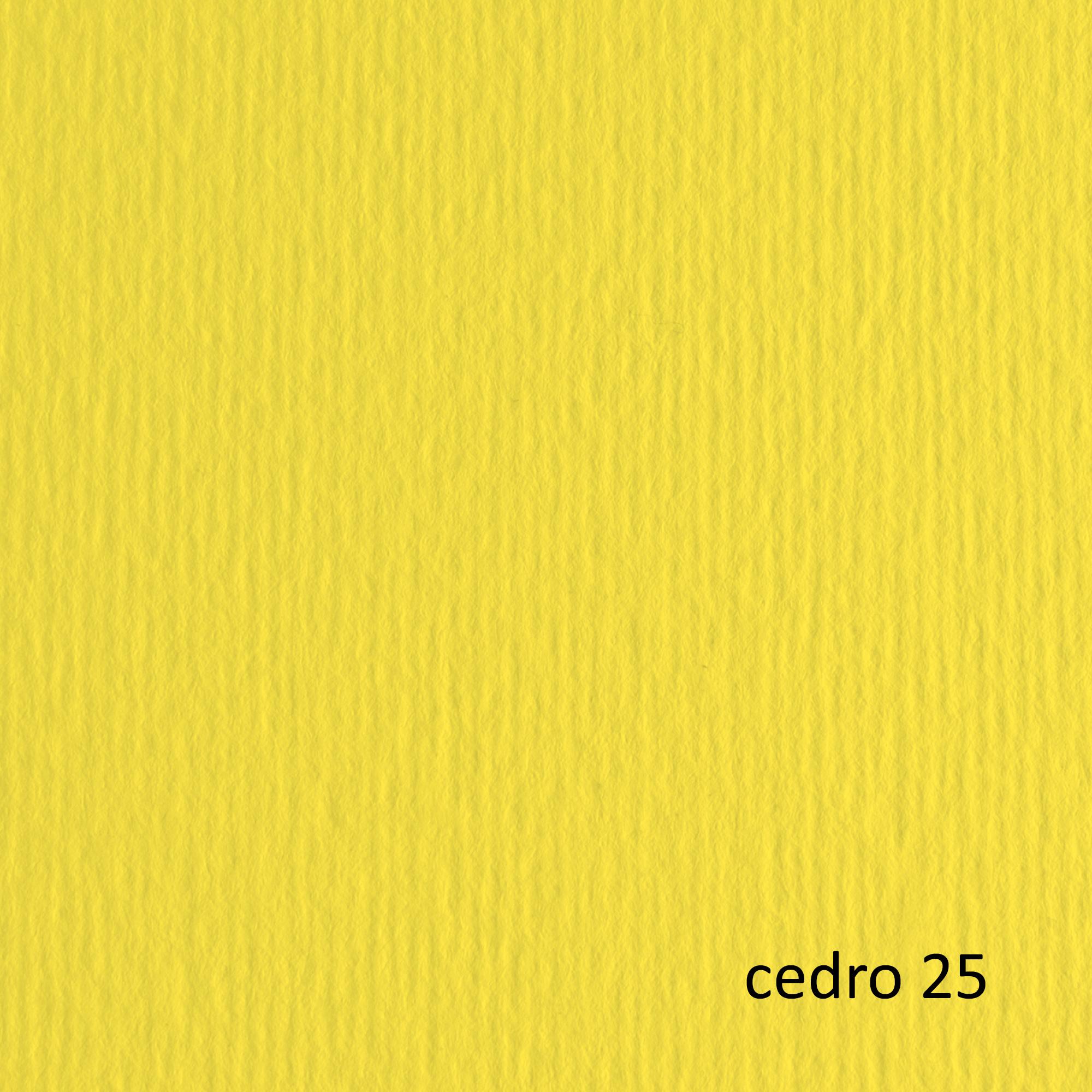 Cartoncino Elle Erre - 50x70cm - 220gr - china 30 - Fabriano - blister 20 fogli
